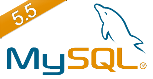 mySQL5.5