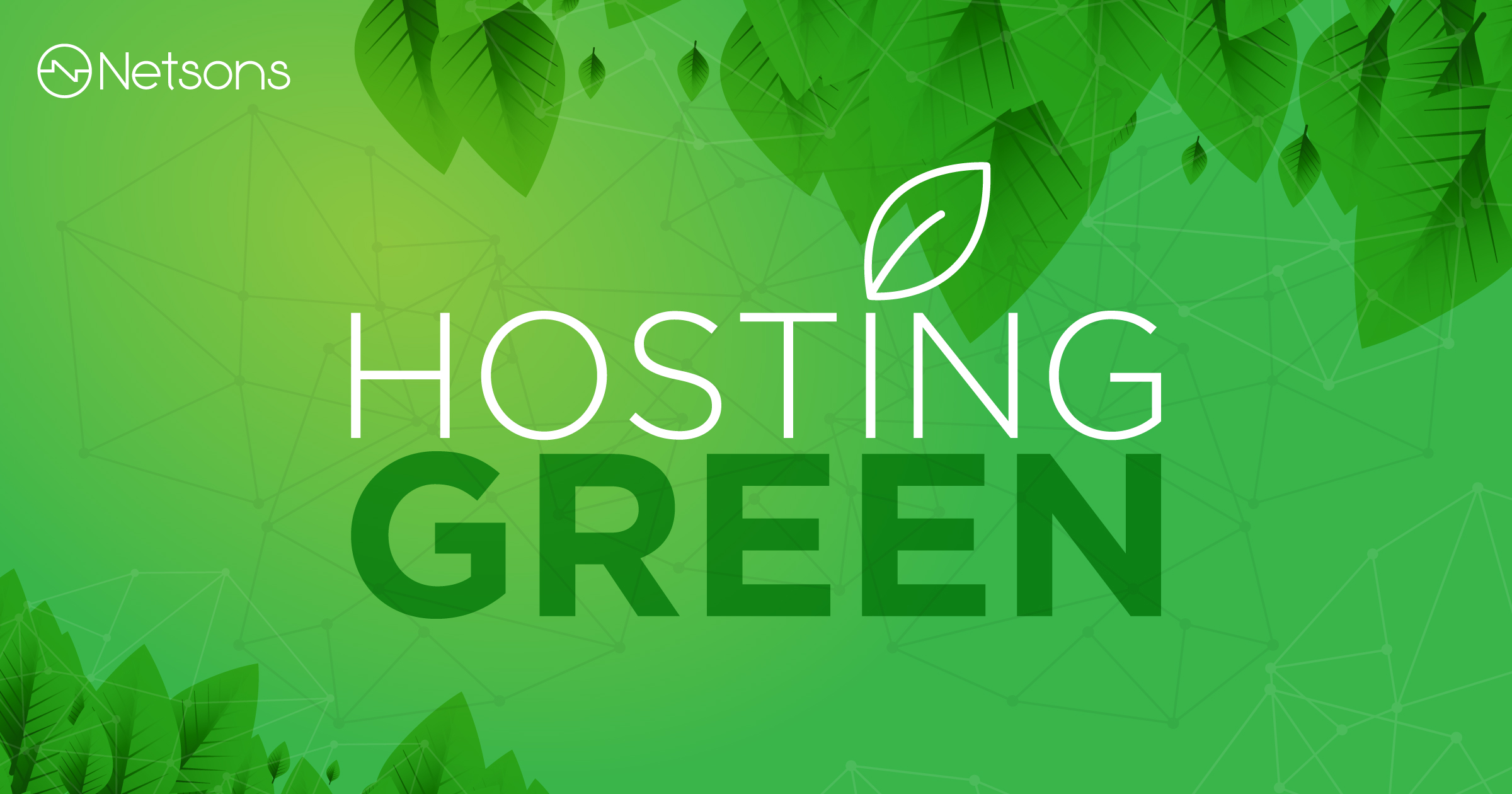 Hosting e sostenibilità: Netsons è sempre più green 1
