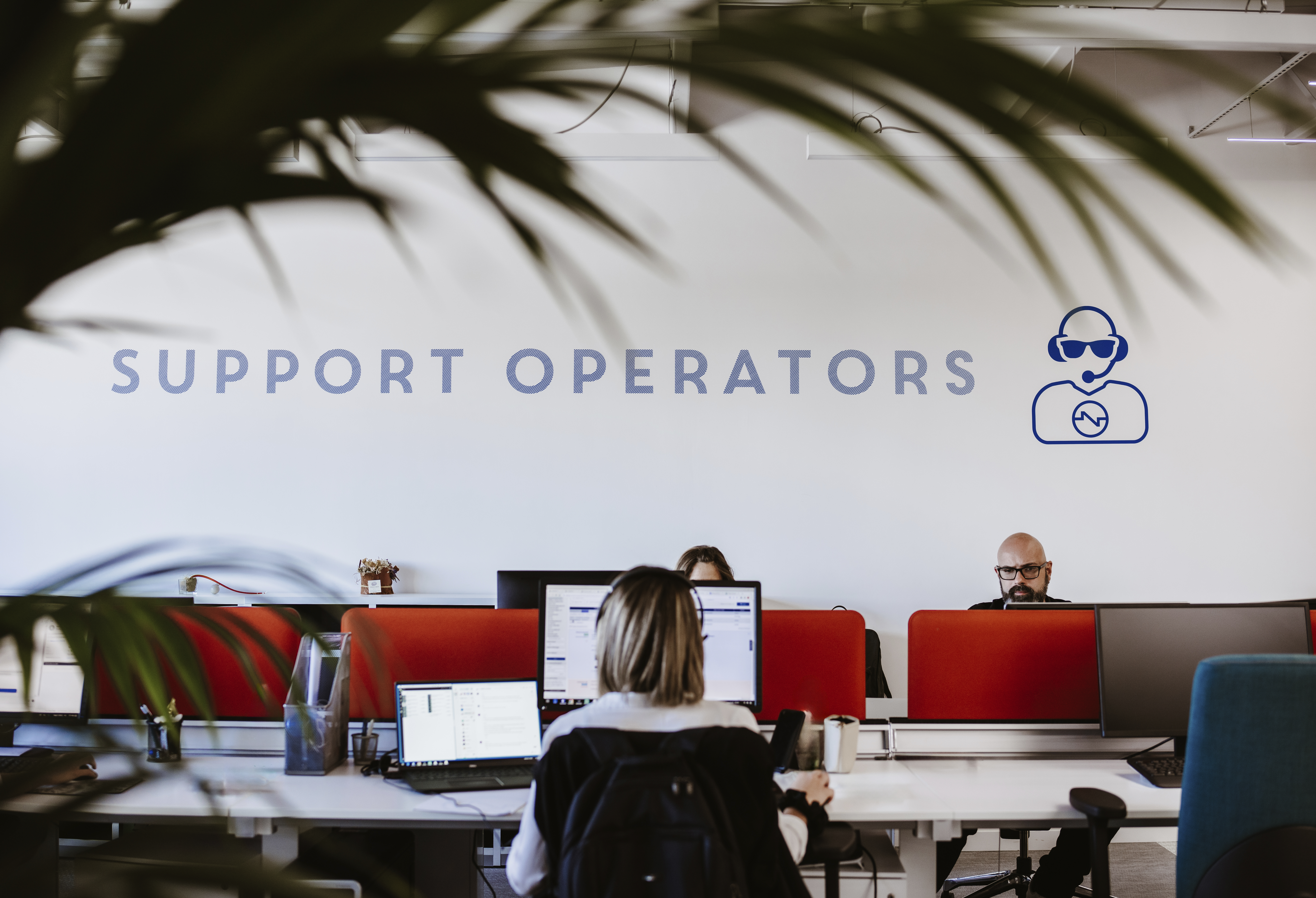 Supporto Netsons