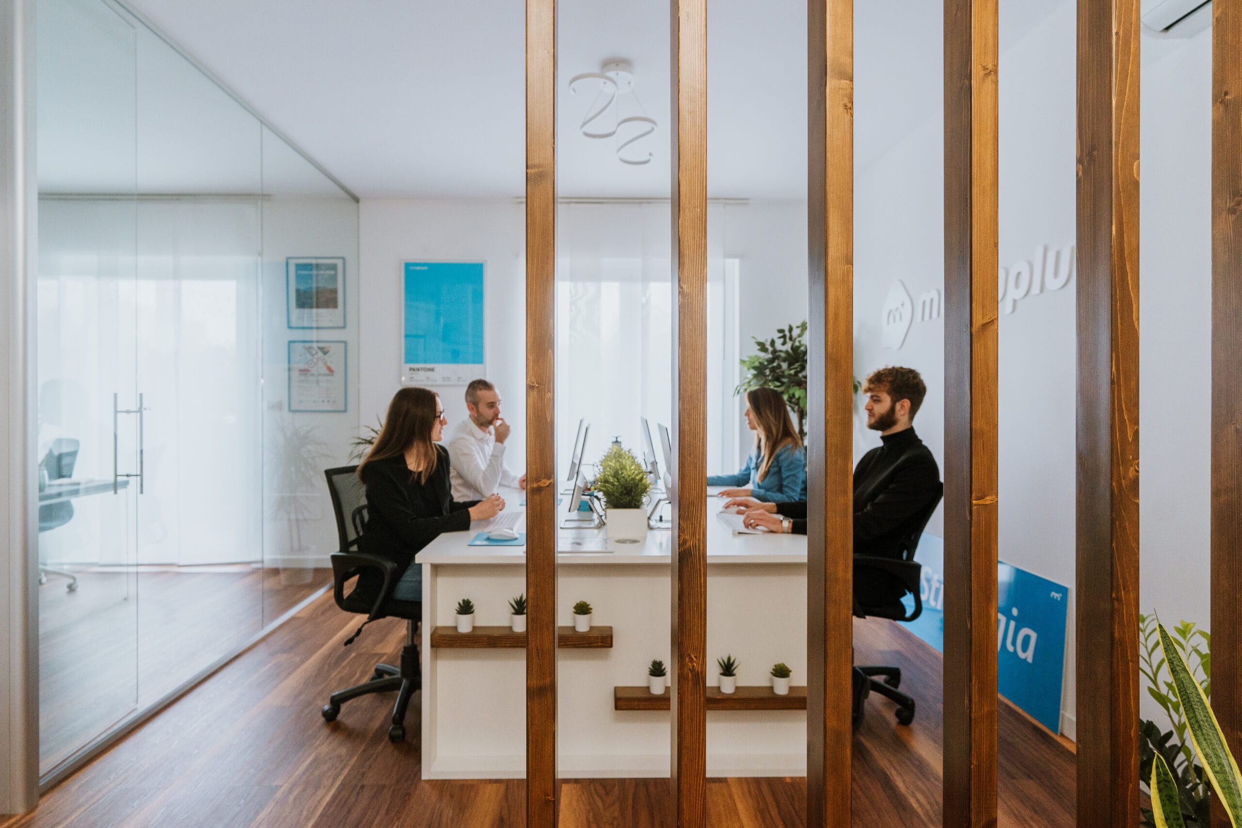 Il team Mediaplus al lavoro su progetti web e digitali